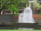 thumbs/IMG_5263.jpg