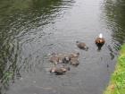 thumbs/IMG_5271.jpg