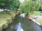 thumbs/IMG_5292.jpg