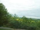 thumbs/Riki_vak_2006_0030.jpg