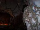 thumbs/Riki_vak_2006_0078.jpg