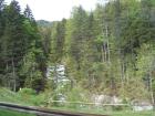 thumbs/Riki_vak_2006_0014.jpg