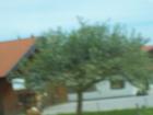thumbs/Riki_vak_2006_0045.jpg