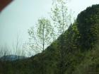 thumbs/Riki_vak_2006_0063.jpg