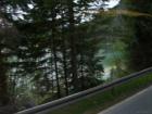 thumbs/Riki_vak_2006_0066.jpg