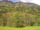 thumbs/Riki_vak_2006_0033.jpg