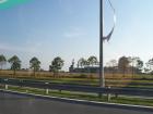 thumbs/NZ_Riki_0013.jpg
