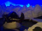 thumbs/NZ_Riki_0039.jpg