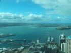thumbs/NZ_Riki_0055.jpg