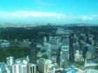 thumbs/NZ_Riki_0059.jpg