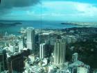 thumbs/NZ_Riki_0062.jpg