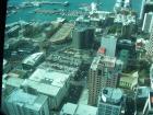 thumbs/NZ_Riki_0064.jpg