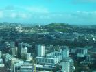 thumbs/NZ_Riki_0068.jpg