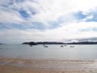 thumbs/NZ_Riki_0083.jpg