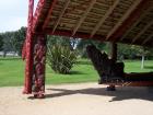 thumbs/NZ_Riki_0085.jpg