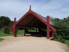 thumbs/NZ_Riki_0086.jpg
