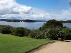 thumbs/NZ_Riki_0087.jpg