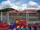 thumbs/NZ_Riki_0095.jpg