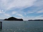 thumbs/NZ_Riki_0096.jpg