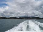 thumbs/NZ_Riki_0097.jpg