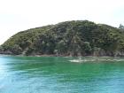 thumbs/NZ_Riki_0098.jpg