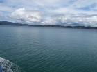 thumbs/NZ_Riki_0099.jpg