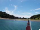 thumbs/NZ_Riki_0100.jpg