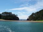 thumbs/NZ_Riki_0101.jpg