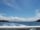 thumbs/NZ_Riki_0102.jpg