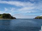 thumbs/NZ_Riki_0103.jpg