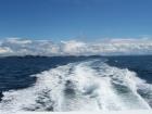 thumbs/NZ_Riki_0104.jpg