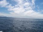 thumbs/NZ_Riki_0105.jpg