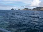 thumbs/NZ_Riki_0106.jpg