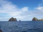 thumbs/NZ_Riki_0107.jpg