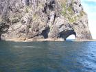 thumbs/NZ_Riki_0108.jpg