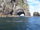 thumbs/NZ_Riki_0109.jpg
