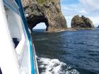 thumbs/NZ_Riki_0110.jpg