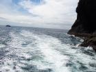 thumbs/NZ_Riki_0111.jpg