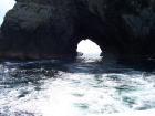 thumbs/NZ_Riki_0112.jpg