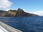 thumbs/NZ_Riki_0113.jpg