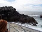 thumbs/NZ_Riki_0114.jpg