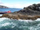 thumbs/NZ_Riki_0115.jpg