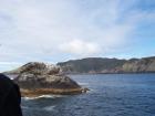 thumbs/NZ_Riki_0116.jpg