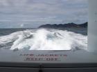 thumbs/NZ_Riki_0117.jpg