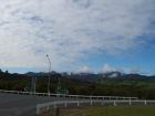 thumbs/NZ_Riki_0119.jpg