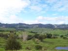 thumbs/NZ_Riki_0120.jpg