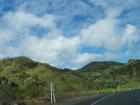 thumbs/NZ_Riki_0121.jpg