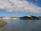thumbs/NZ_Riki_0122.jpg