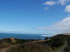 thumbs/NZ_Riki_0123.jpg