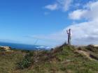 thumbs/NZ_Riki_0124.jpg